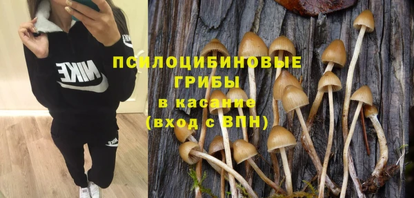 Альфа ПВП Вяземский