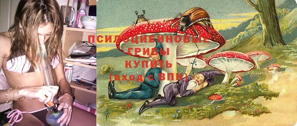 Альфа ПВП Вяземский