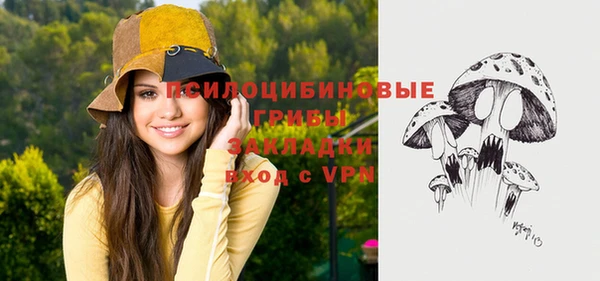 Альфа ПВП Вяземский