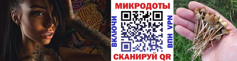 Псилоцибиновые грибы MAGIC MUSHROOMS  Купить  Верхоянск 